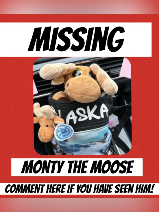 Other - MONTY MOOSE TRACKING! Where in the Posh Universe is Monty Moose?